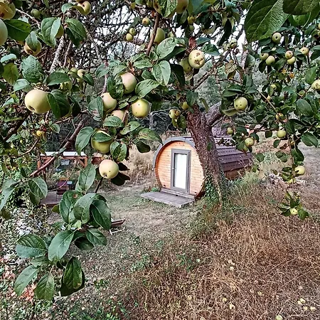 山林小屋 A Chjusella Di E Sertine Tralonca