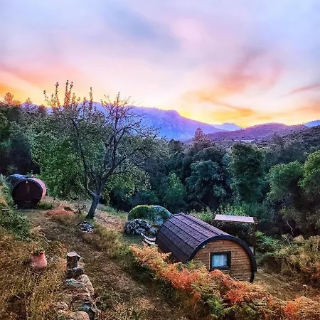 Lodge A Chjusella Di E Sertine Tralonca