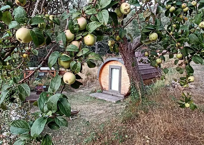 Lodge A Chjusella Di E Sertine Tralonca