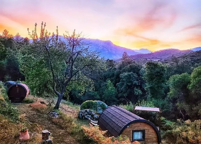 Lodge A Chjusella Di E Sertine Tralonca